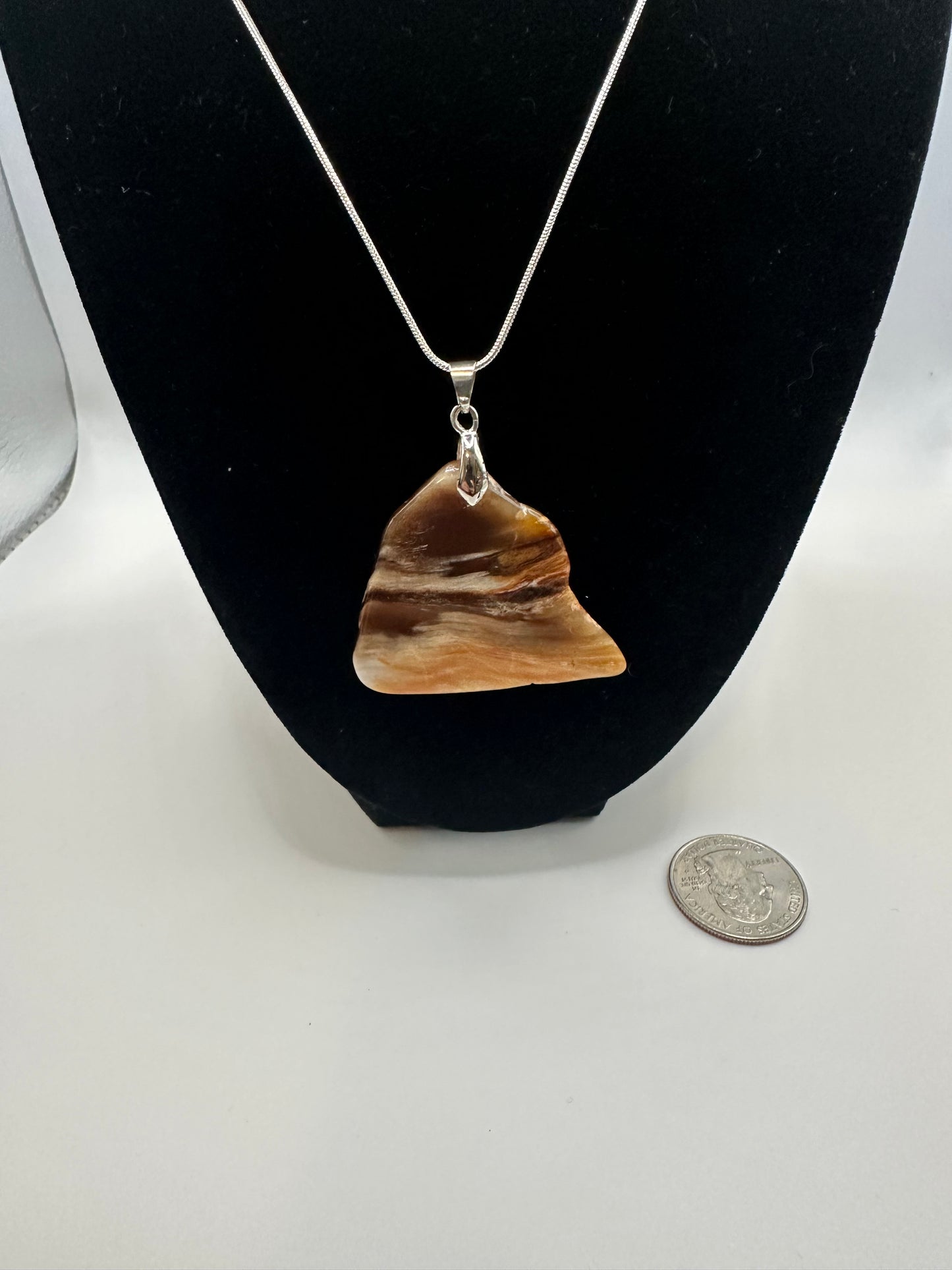 Petrified wood pendant with chain