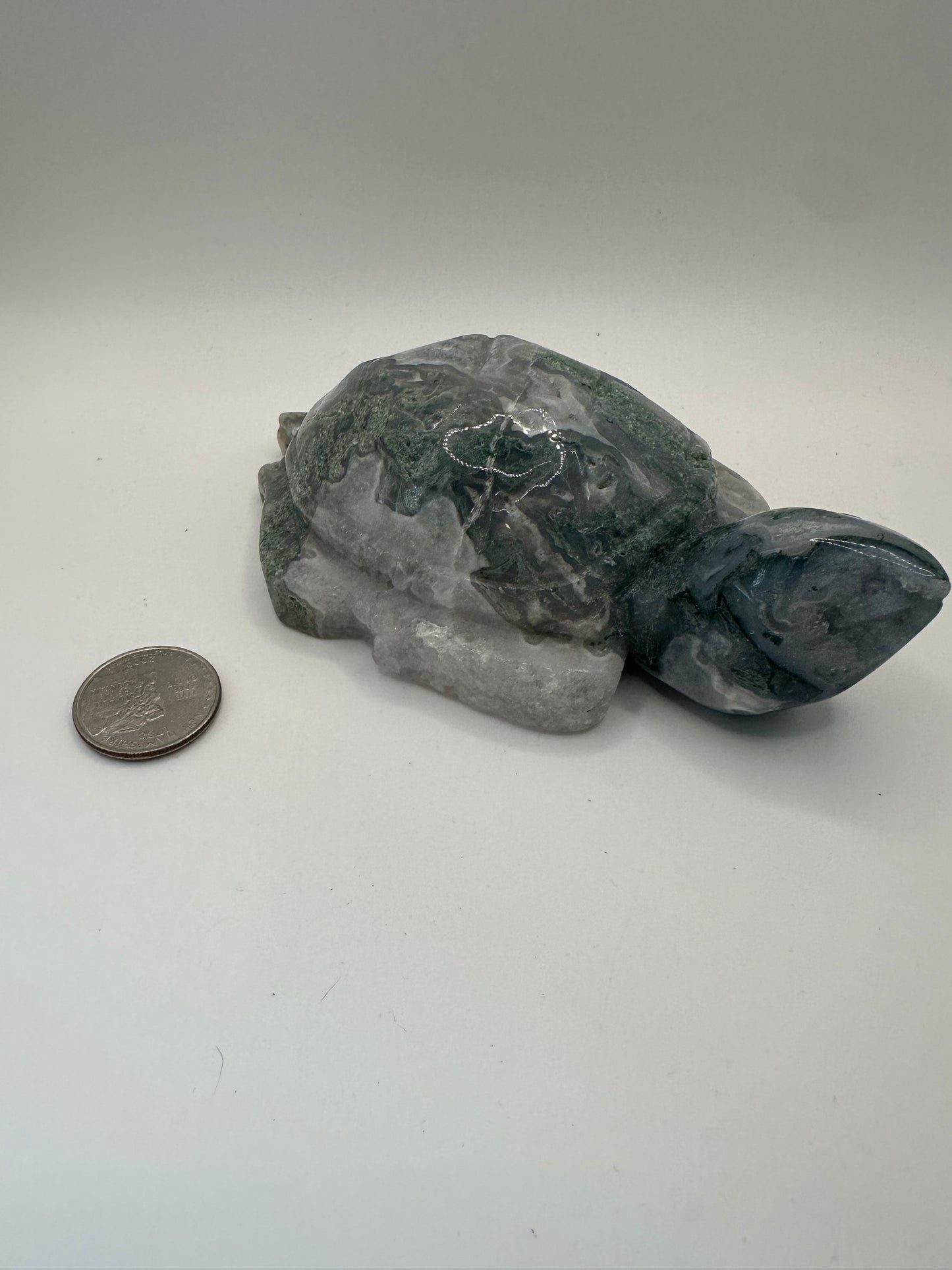 Moss Agate turtle