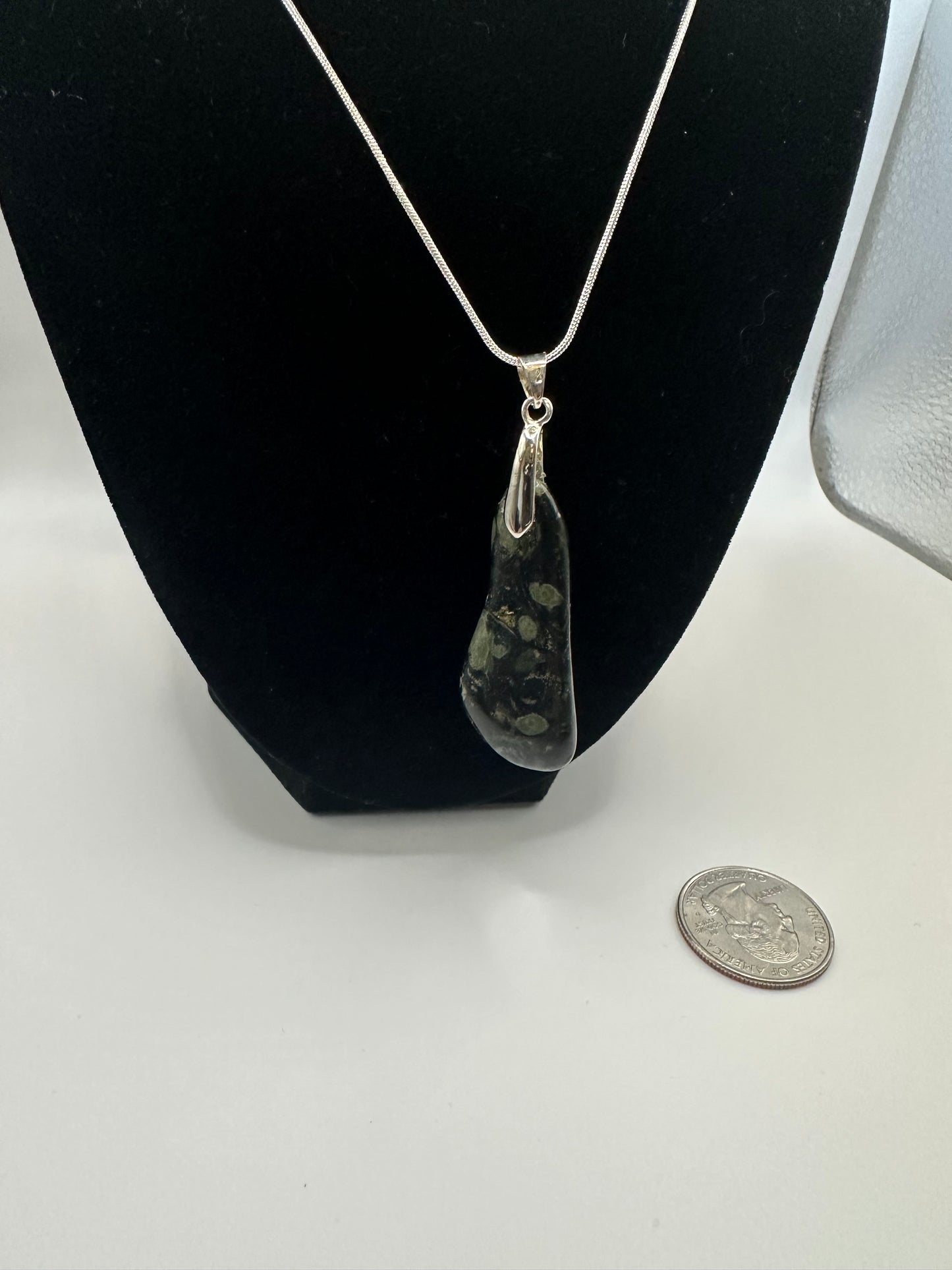 Kambaba Jasper Pendant with chain