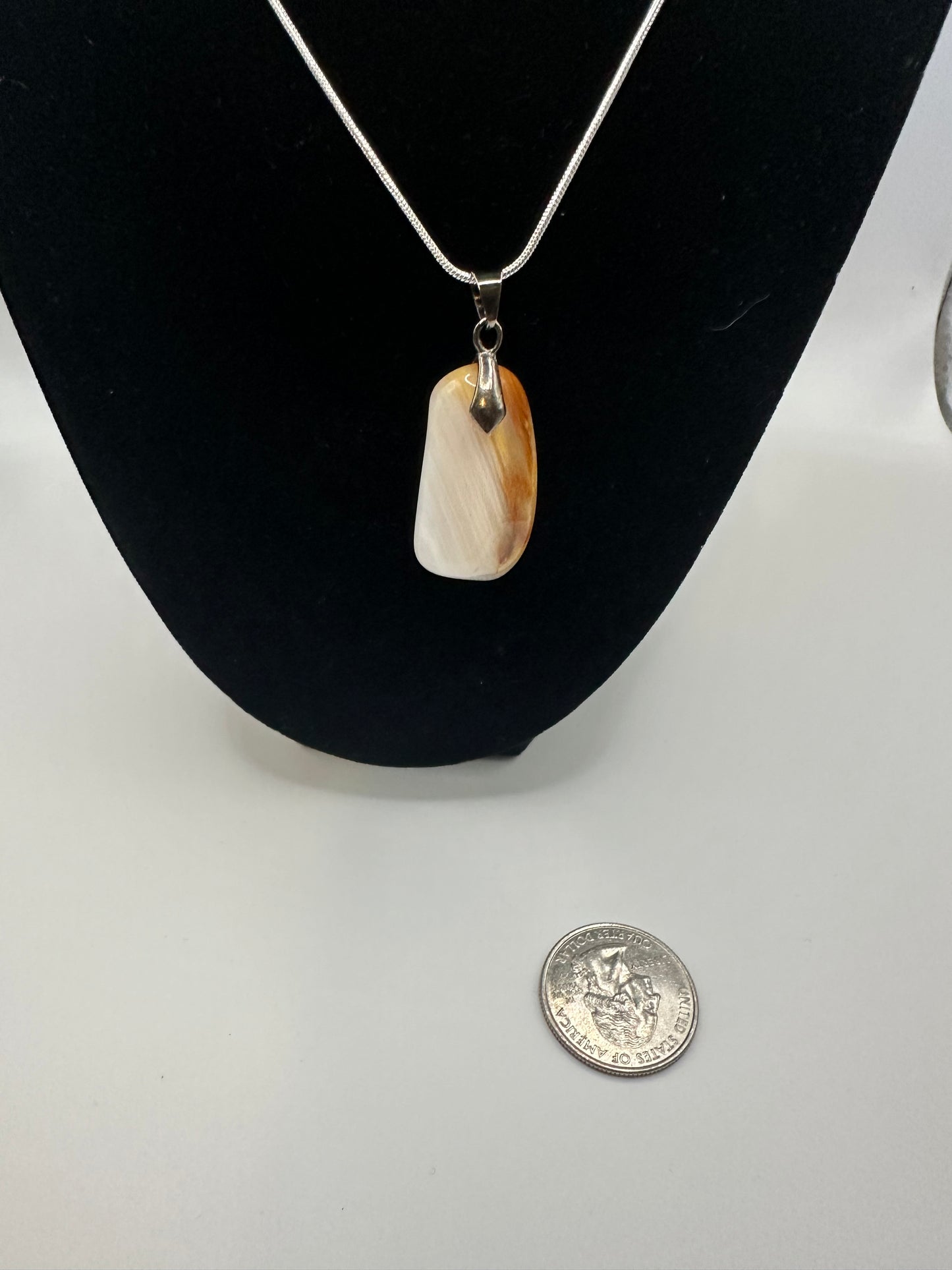 Petrified wood pendant with chain